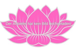 thaimassage-neufeld-an-der-leitha